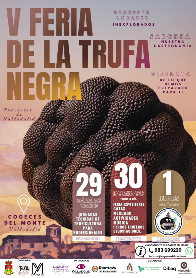 Feria de la Trufa Negra 2025 de Cogeces del Monte